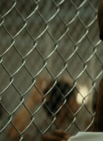 ftwd105_1896.jpg