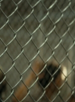 ftwd105_1897.jpg