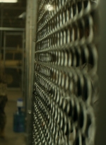 ftwd105_1907.jpg