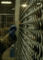 ftwd105_1909.jpg