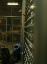 ftwd105_1912.jpg
