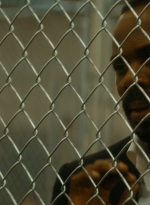 ftwd105_1927.jpg