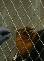 ftwd105_1929.jpg