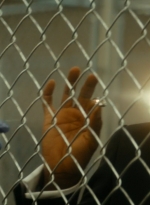 ftwd105_1931.jpg