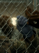 ftwd105_1933.jpg