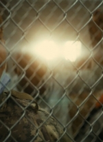 ftwd105_1934.jpg