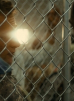 ftwd105_1940.jpg