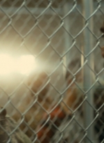 ftwd105_1961.jpg