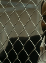 ftwd105_1962.jpg