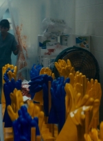 ftwd105_2150.jpg