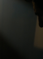 ftwd105_2460.jpg