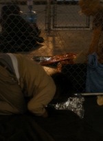ftwd105_2518.jpg