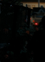 ftwd105_2651.jpg