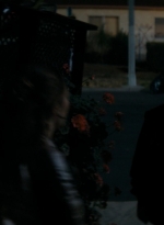 ftwd105_2652.jpg