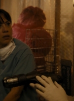 ftwd105_2815.jpg