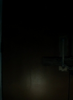 ftwd105_2915.jpg