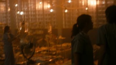 ftwd106_0804.jpg