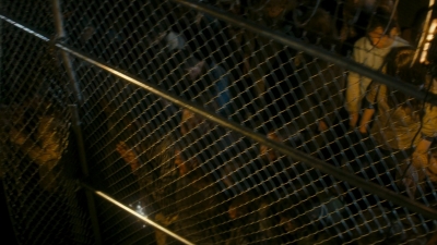 ftwd106_1103.jpg