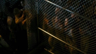 ftwd106_1104.jpg