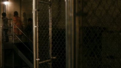 ftwd106_1313.jpg