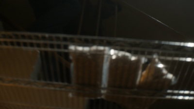ftwd106_1347.jpg