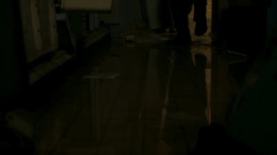 ftwd106_1391.jpg