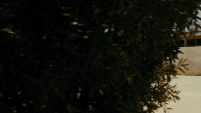 ftwd106_1907.jpg