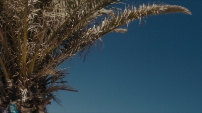 ftwd106_2258.jpg