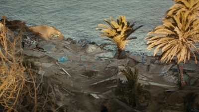 ftwd106_2262.jpg