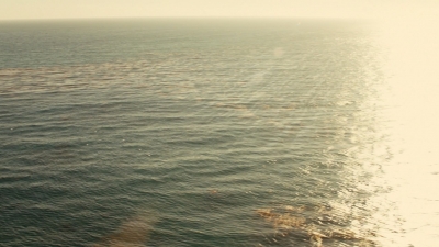 ftwd106_2626.jpg