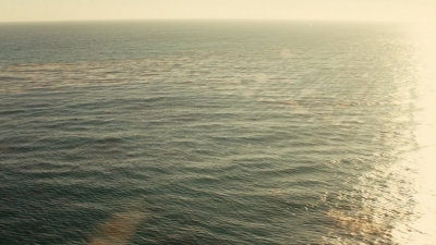 ftwd106_2627.jpg