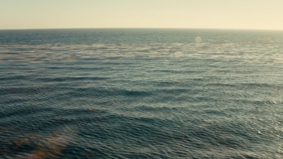 ftwd106_2633.jpg