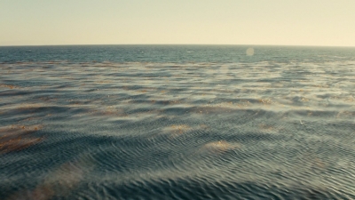 ftwd106_2640.jpg