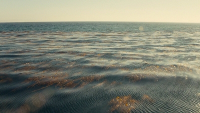 ftwd106_2641.jpg