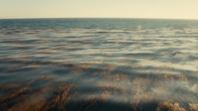 ftwd106_2642.jpg