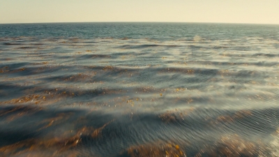 ftwd106_2643.jpg