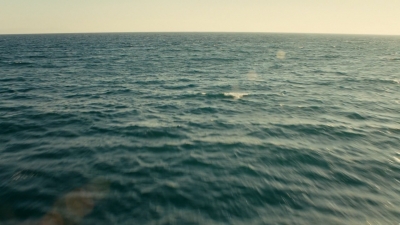 ftwd106_2651.jpg