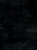 ftwd106_0039.jpg