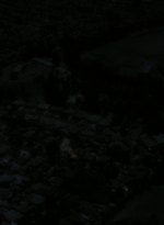 ftwd106_0044.jpg