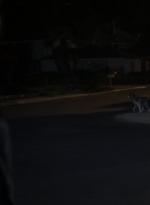 ftwd106_0263.jpg