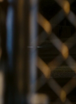 ftwd106_0504.jpg