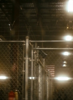 ftwd106_0934.jpg