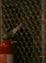 ftwd106_0944.jpg