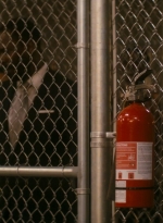 ftwd106_0947.jpg