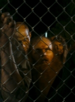 ftwd106_1065.jpg