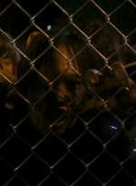 ftwd106_1086.jpg