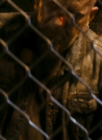 ftwd106_1089.jpg
