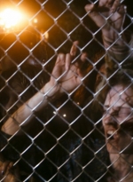 ftwd106_1093.jpg
