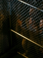 ftwd106_1104.jpg