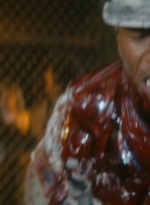 ftwd106_1108.jpg